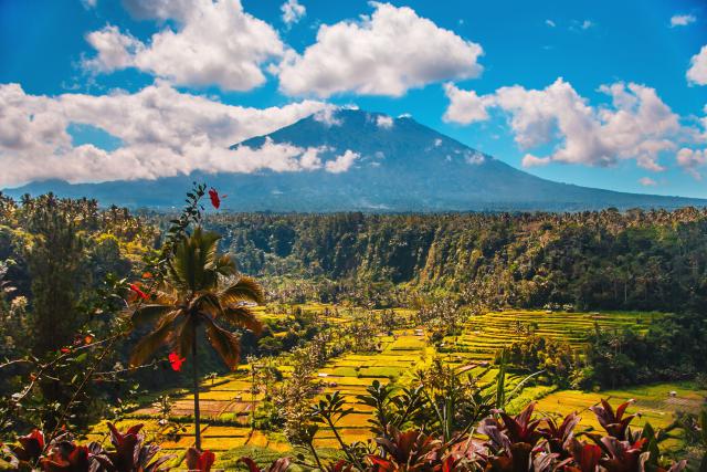 Indonesia_118