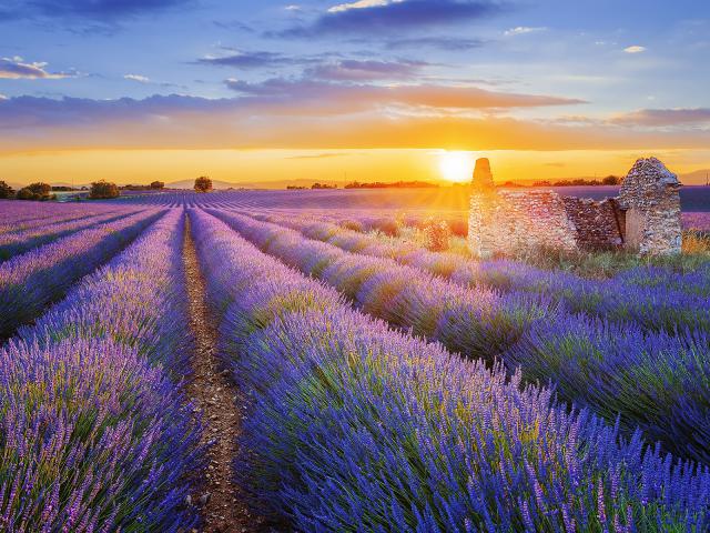 Sunset_320