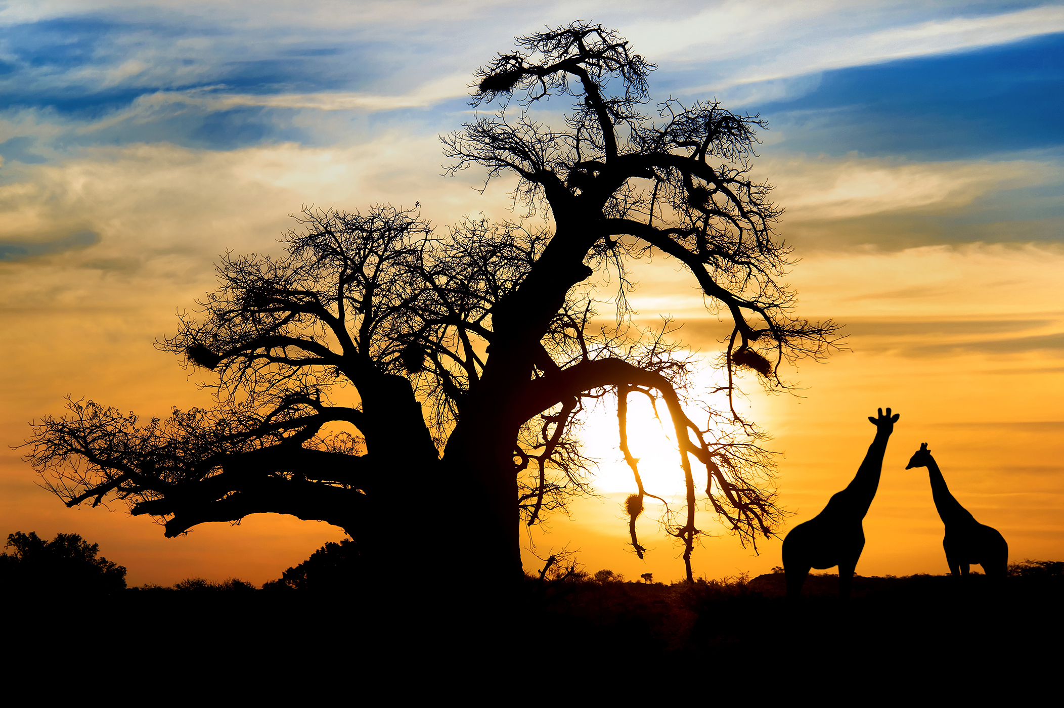 Sunset_330