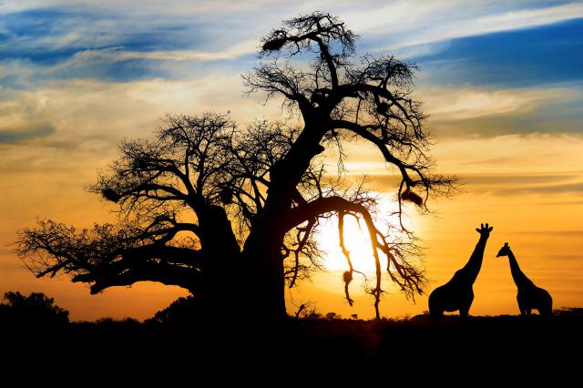 Sunset_330