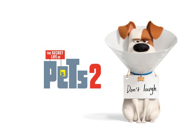 The_Secret_Life_of_Pets_3