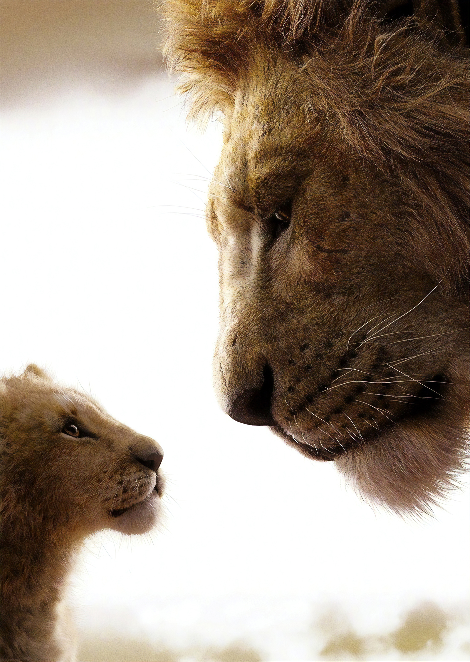 The_Lion_King_06