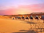 Desert_71