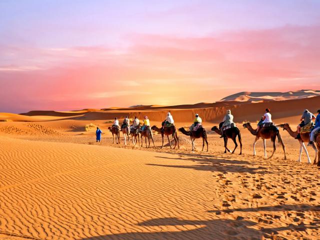 Desert_71