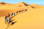 Desert_78