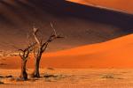 Desert_80