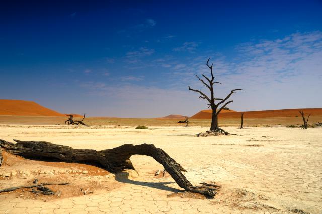 Desert_88