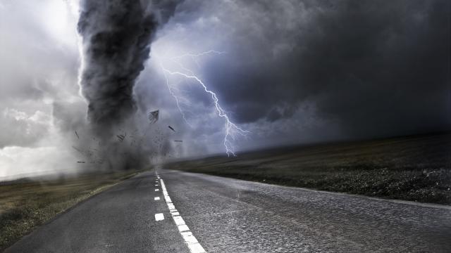 force_of_nature_96