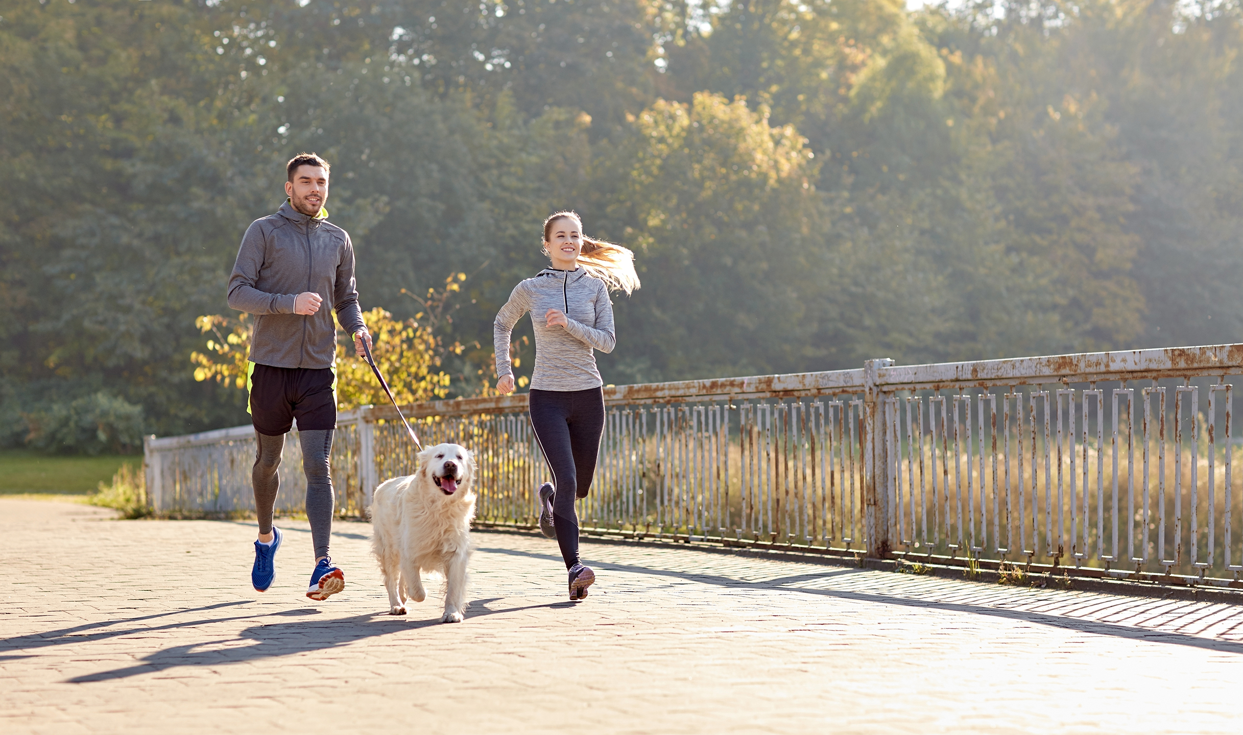 runners_85