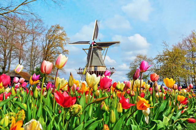 Windmill_40