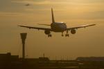 airplane_69