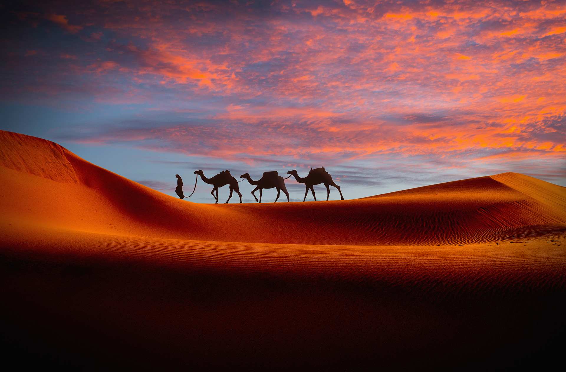 Desert_91