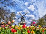 Windmill_42