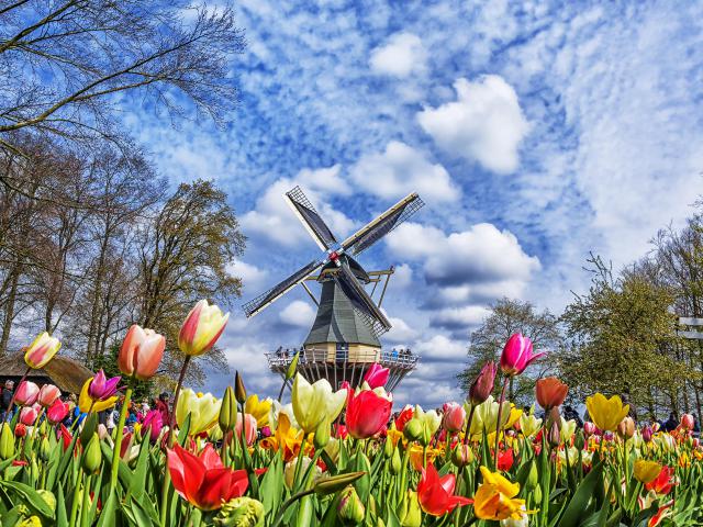 Windmill_42