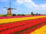 Windmill_43