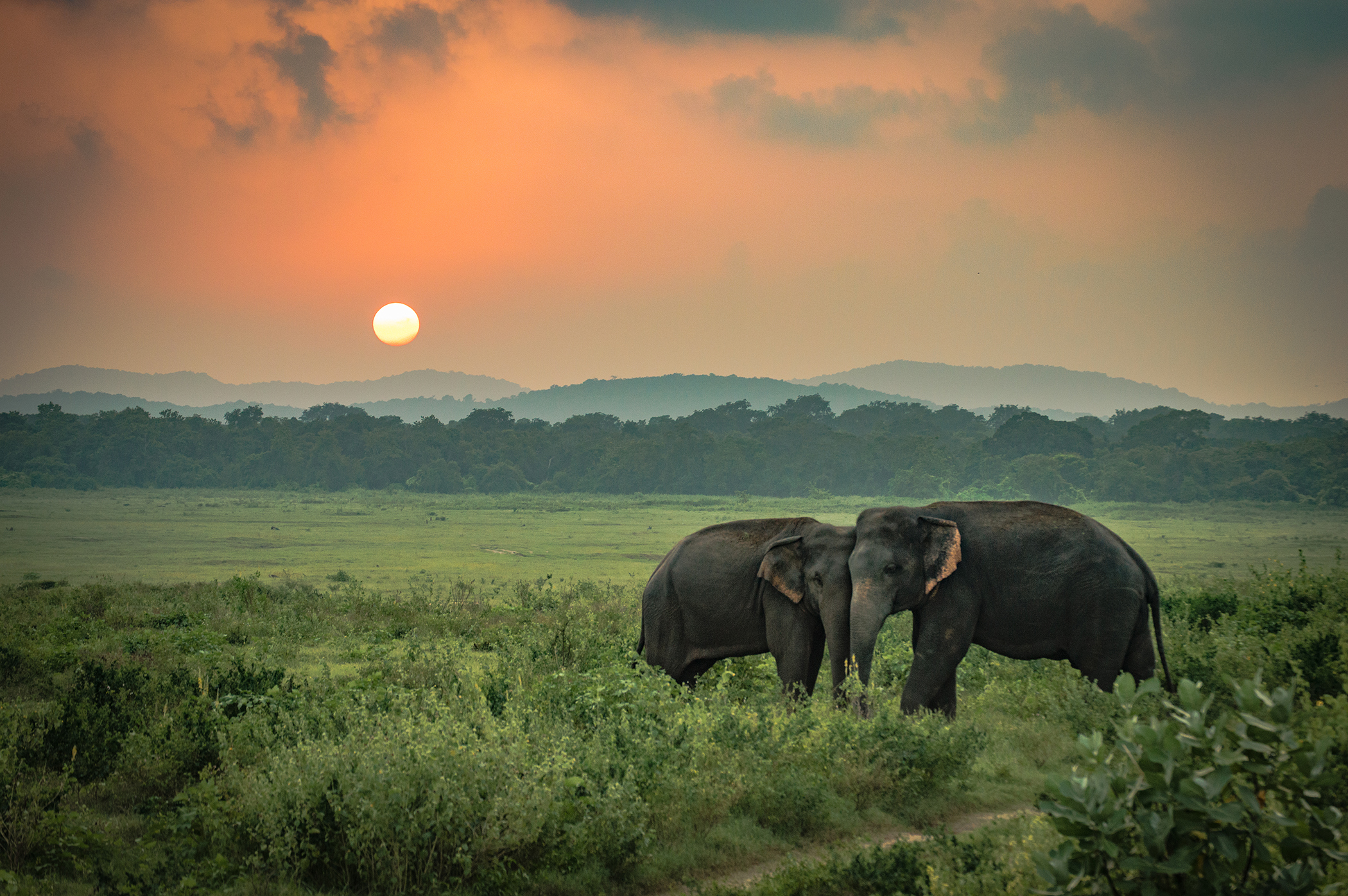 Sunset_556