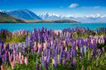 New_Zealand_210