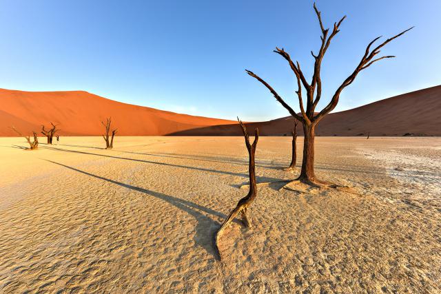 Desert_96