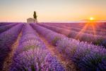 Sunset_628
