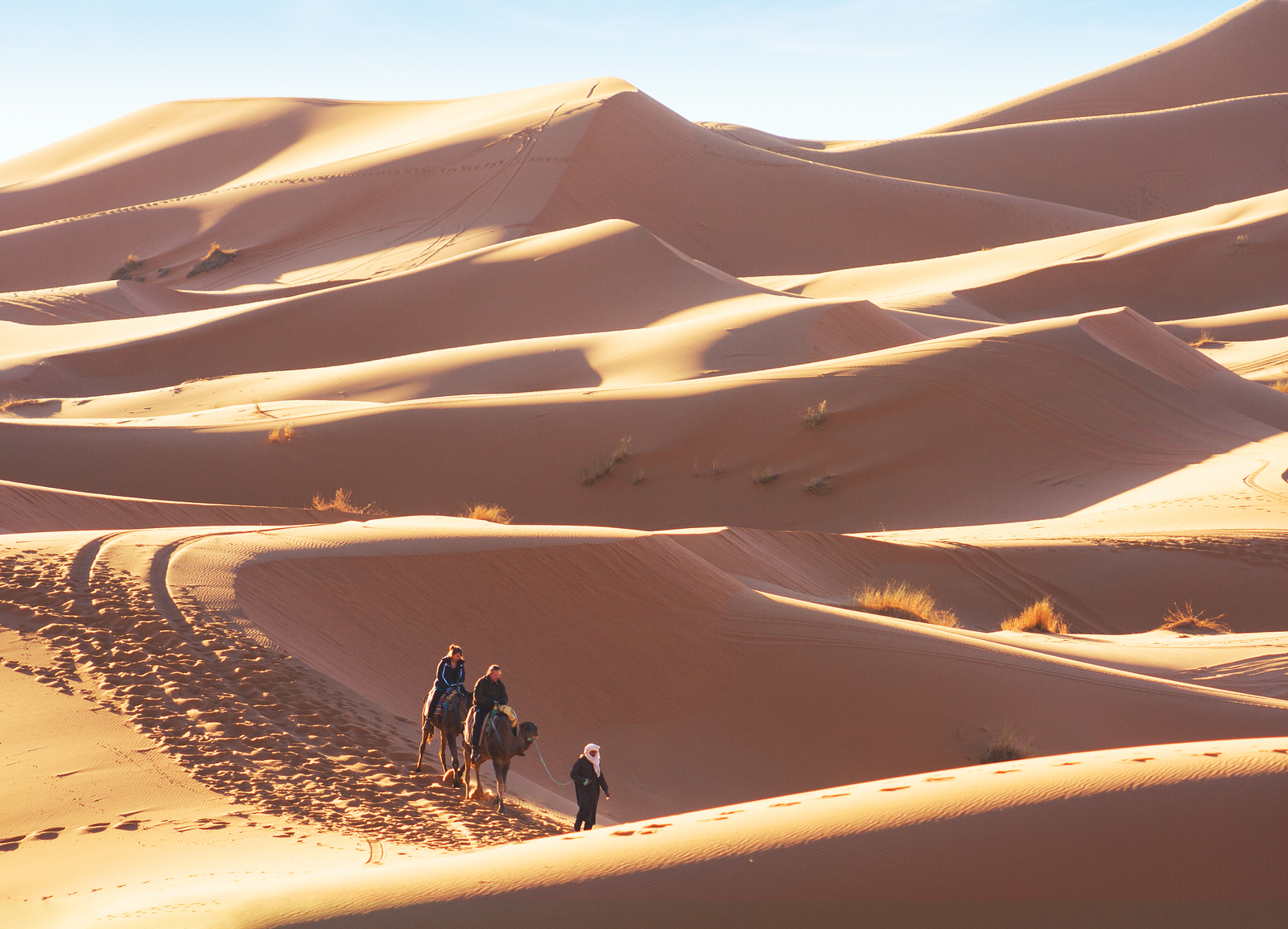 Desert_102