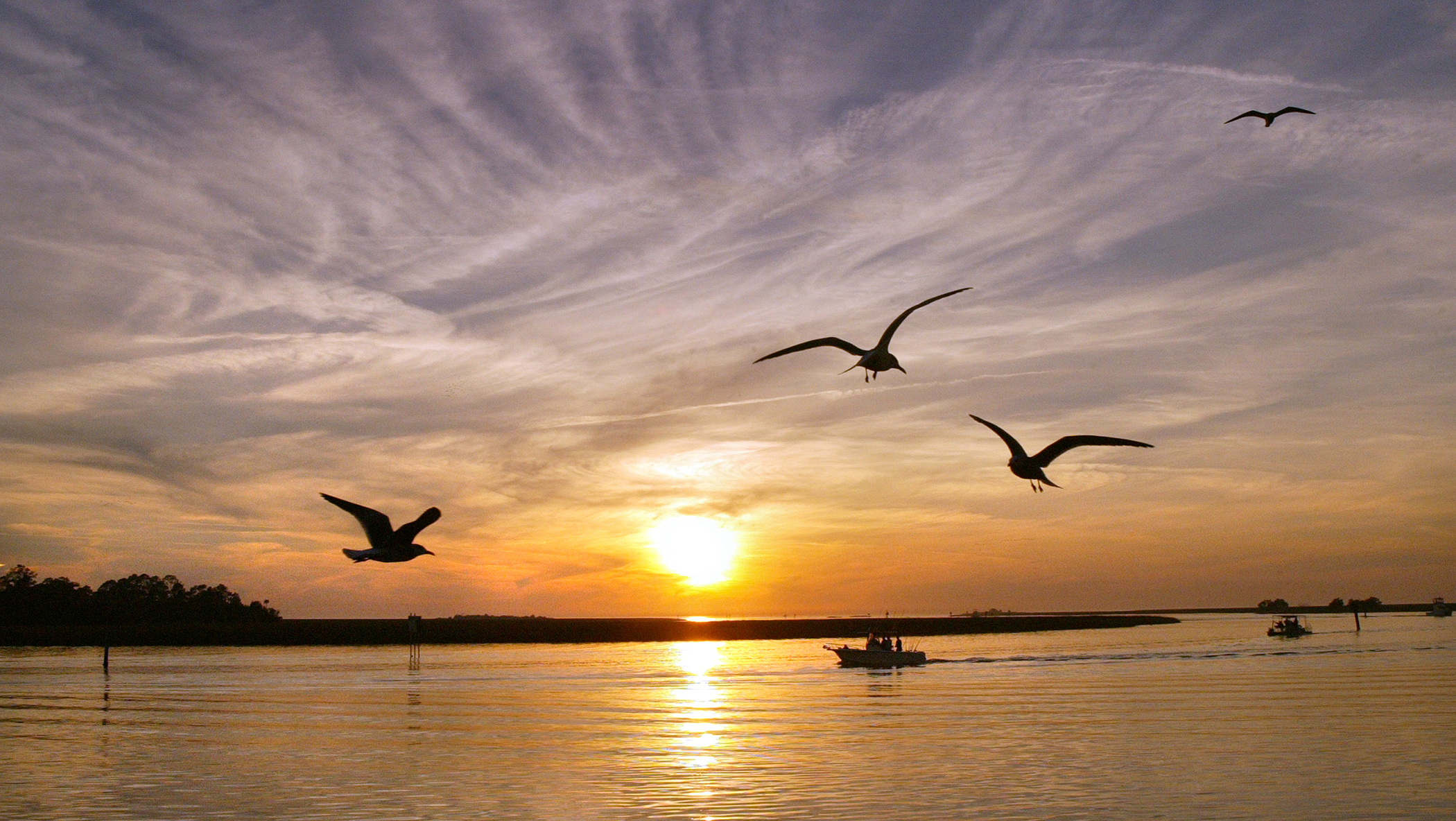 Sunset_702