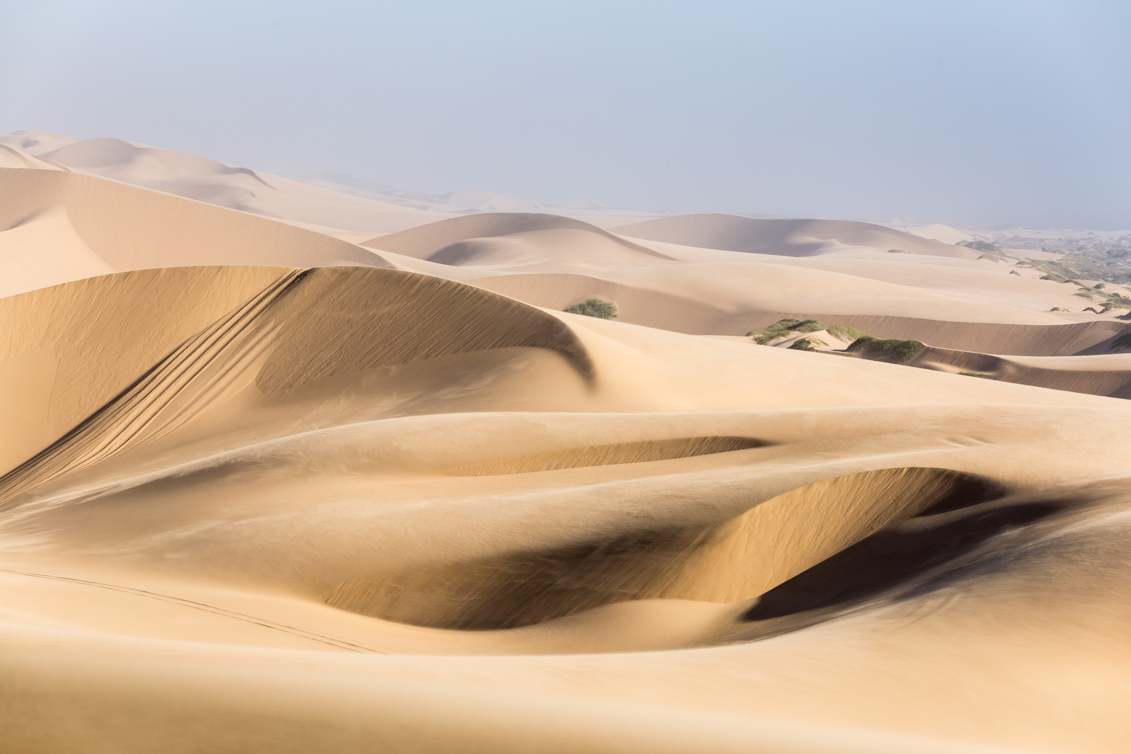 Desert_105
