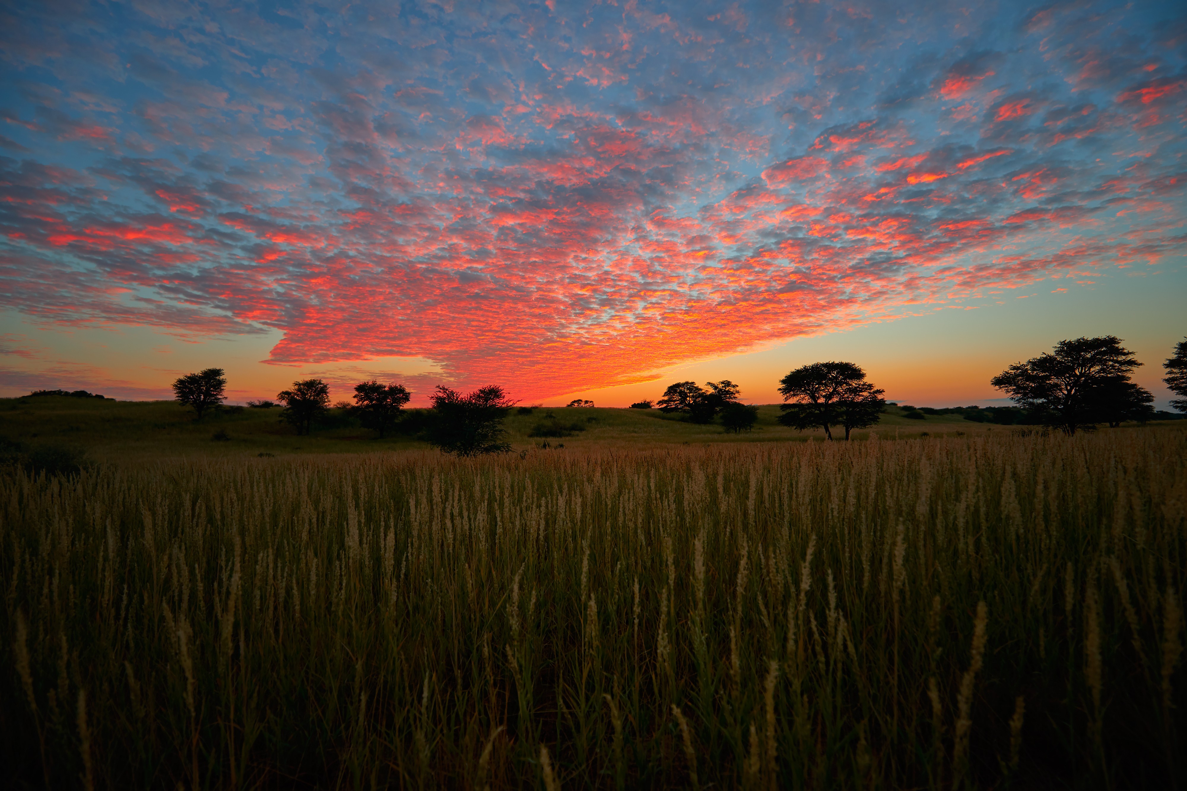 Sunset_811