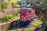 Trains_182