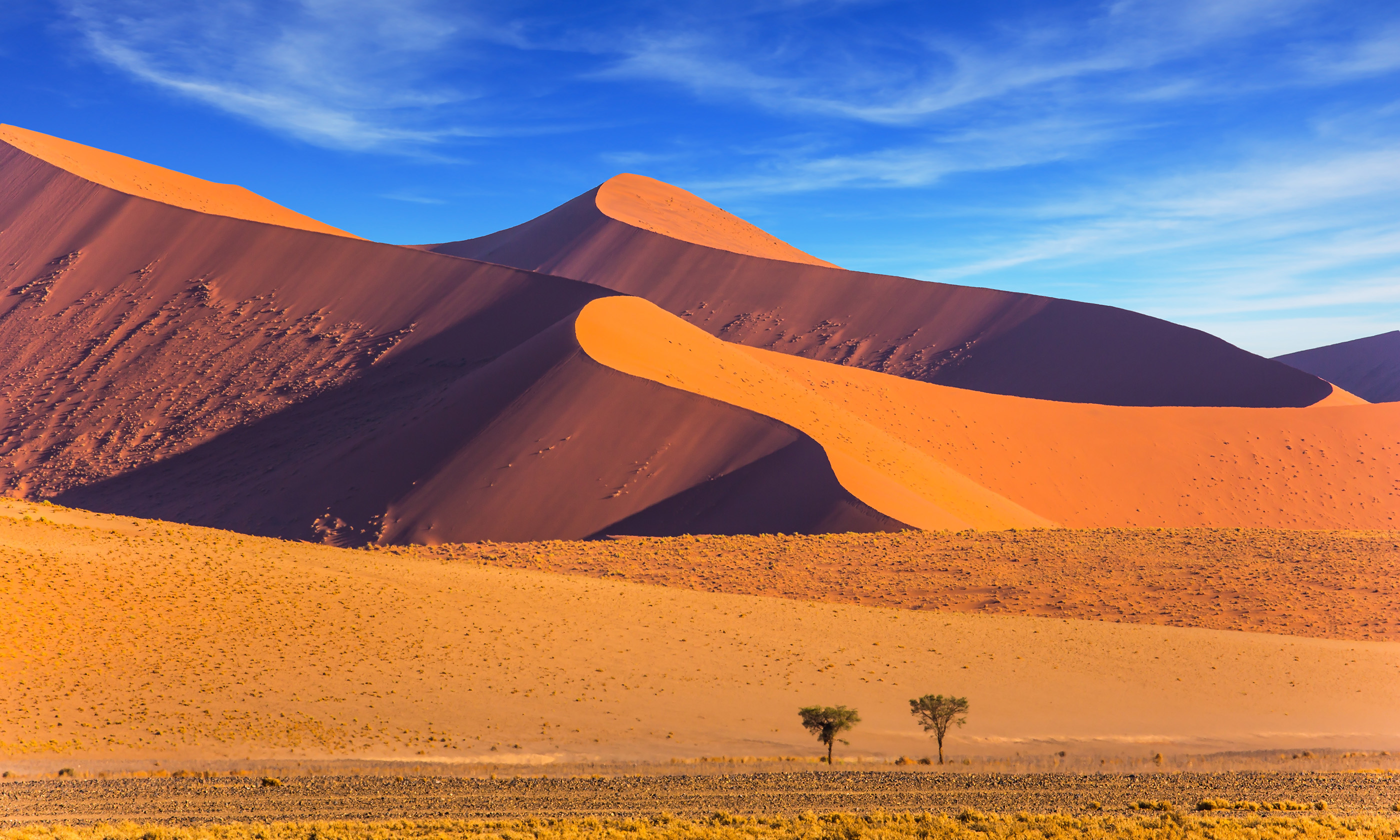 Desert_106