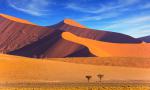 Desert_106