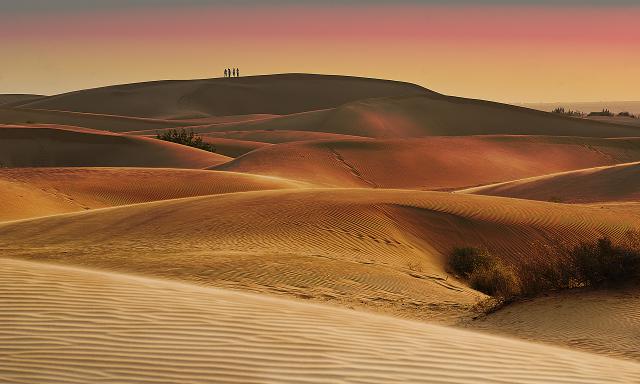 Desert_107