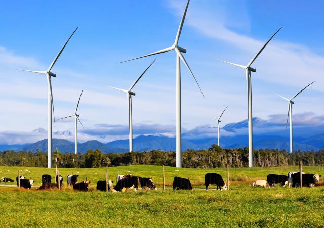 Windmill_50