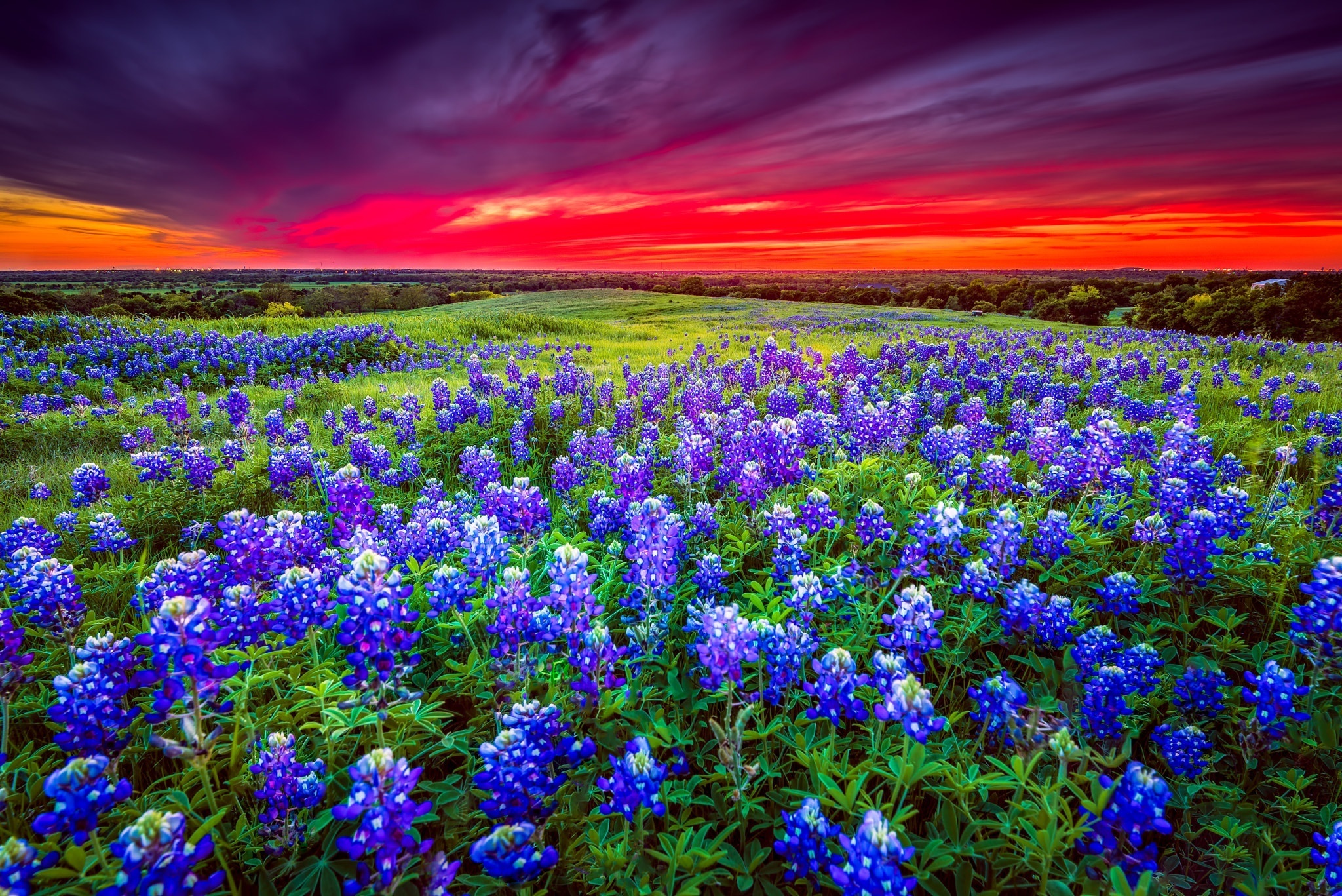 Sunset_912