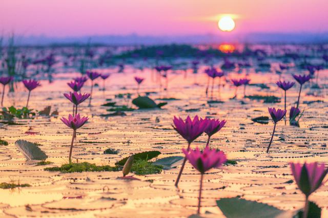 Sunset_937