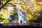 Japan_176