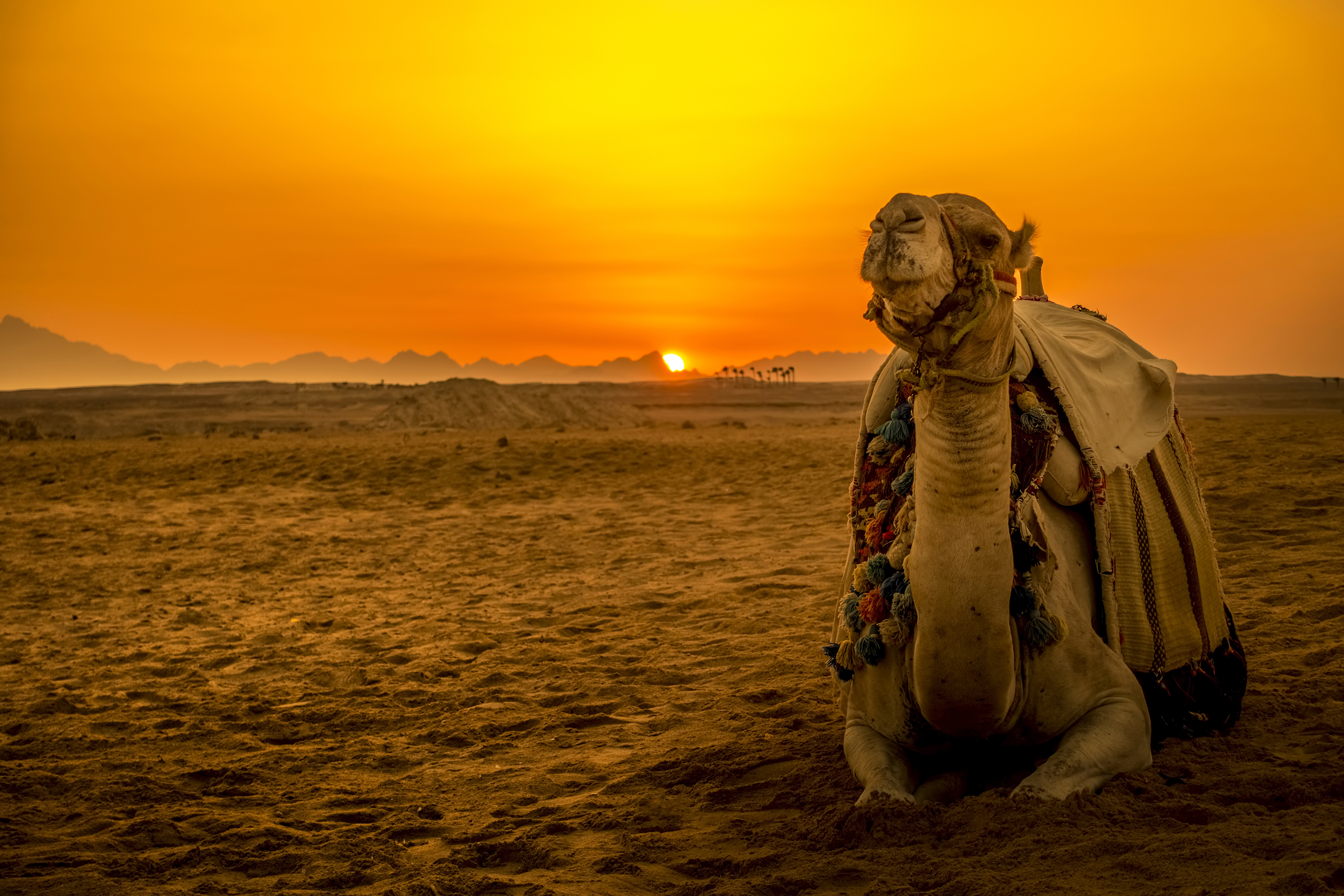 Sunset_1032