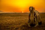 Sunset_1032