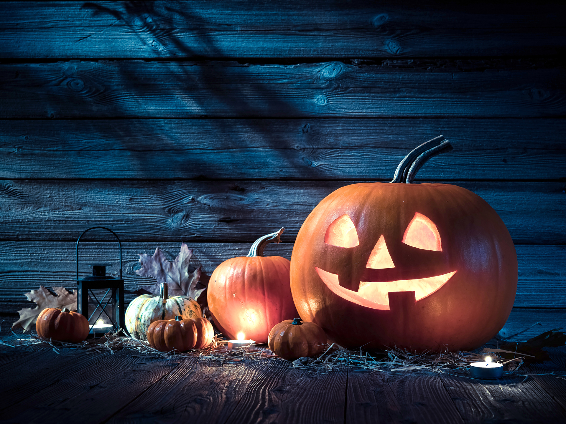 Pumpkin_19