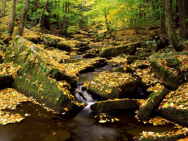 river_001