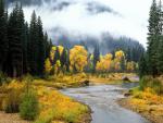 river_012