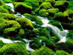 river_013