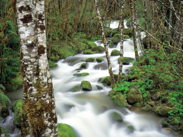 river_018