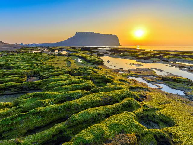 Sunrise_354