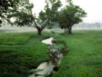 river_028