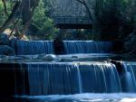 river_029
