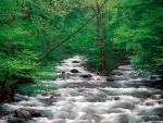 river_031
