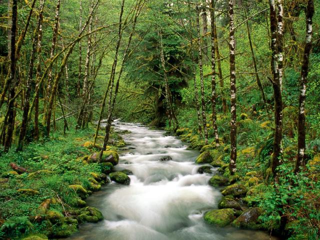 river_034