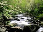 river_035