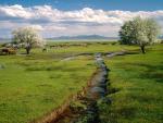 river_059