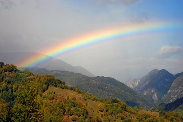 rainbow_46